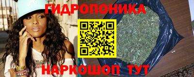 PSILOCYBIN Усть-Илимск