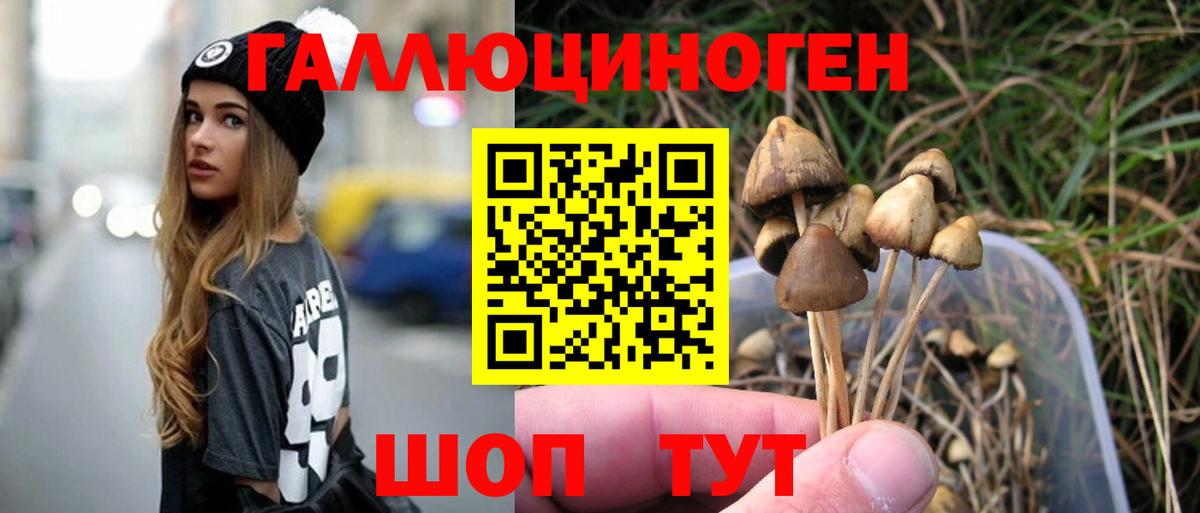 Псилоцибиновые грибы MAGIC MUSHROOMS Богданович